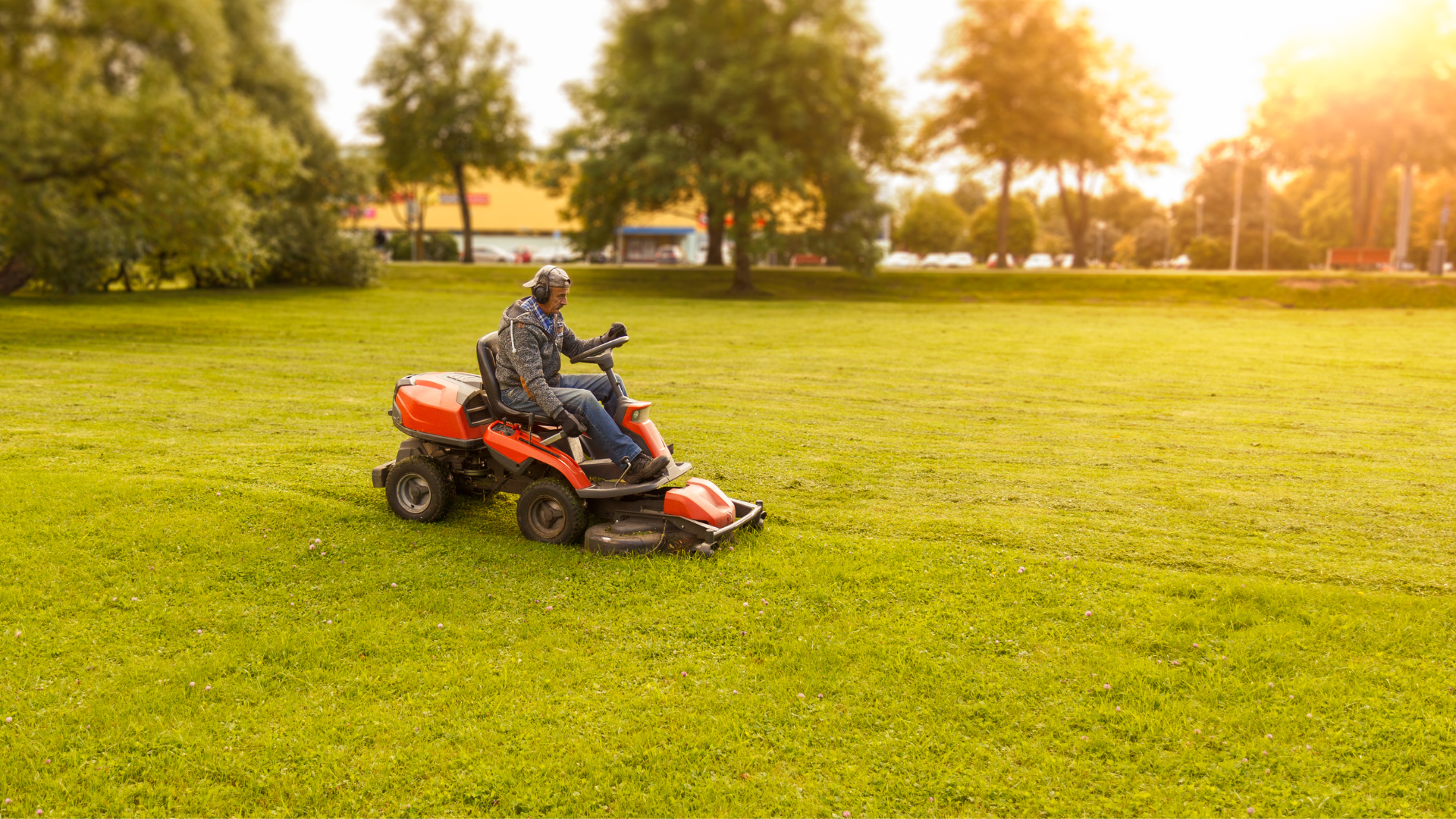 Meilleur Robot Tondeuse En 2025 Comparatif Avis Et Guide D achat Complet Meilleur Robot Tondeuse En 2025 Comparatif Avis Et Guide D achat Complet