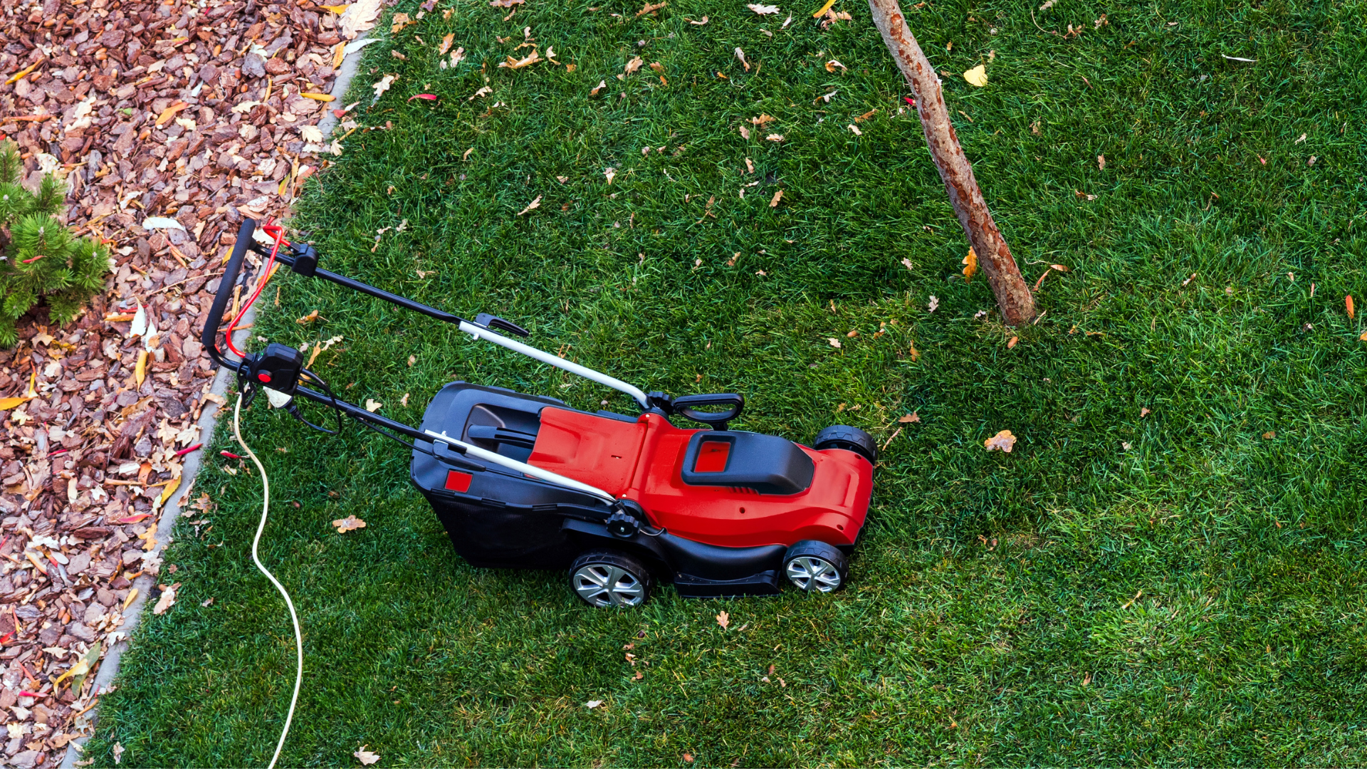 Une tondeuse électrique filaire dans un grand jardin