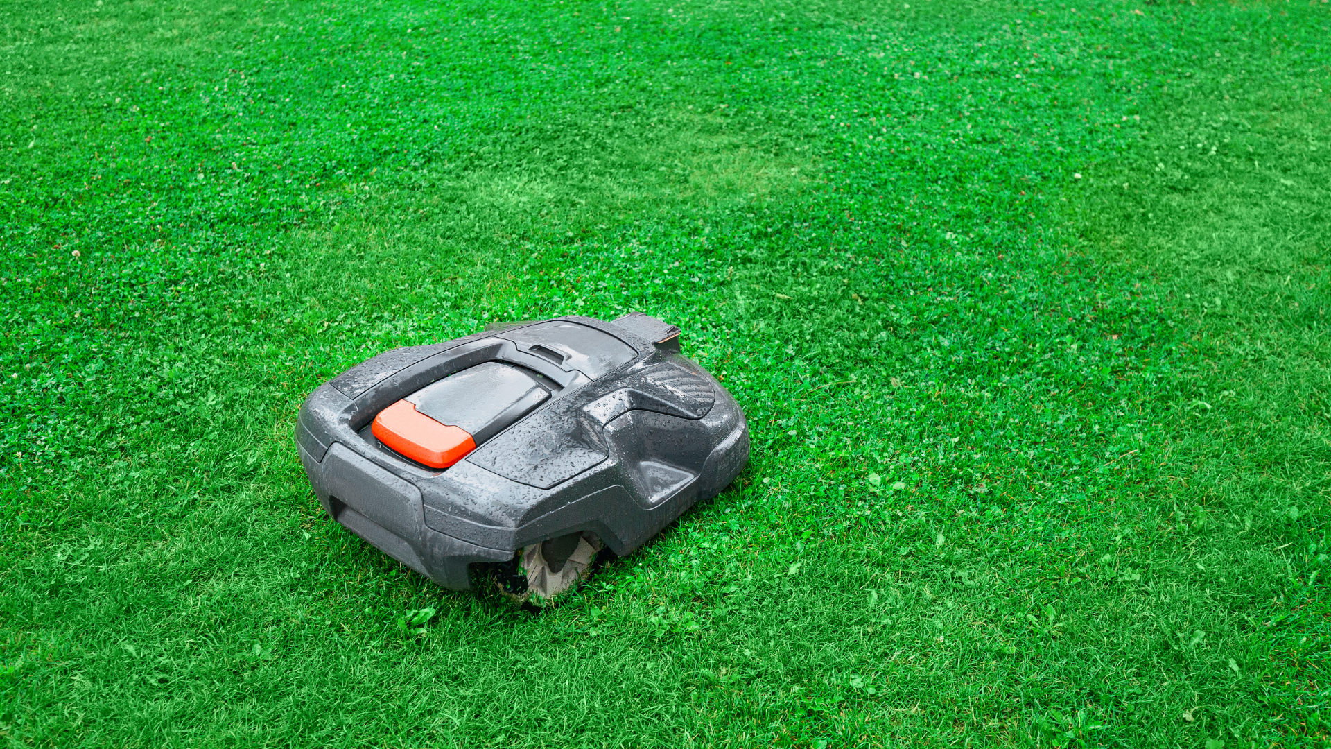 Meilleur Robot Tondeuse En 2025 Comparatif Avis Et Guide D achat Complet Meilleur Robot Tondeuse En 2025 Comparatif Avis Et Guide D achat Complet
