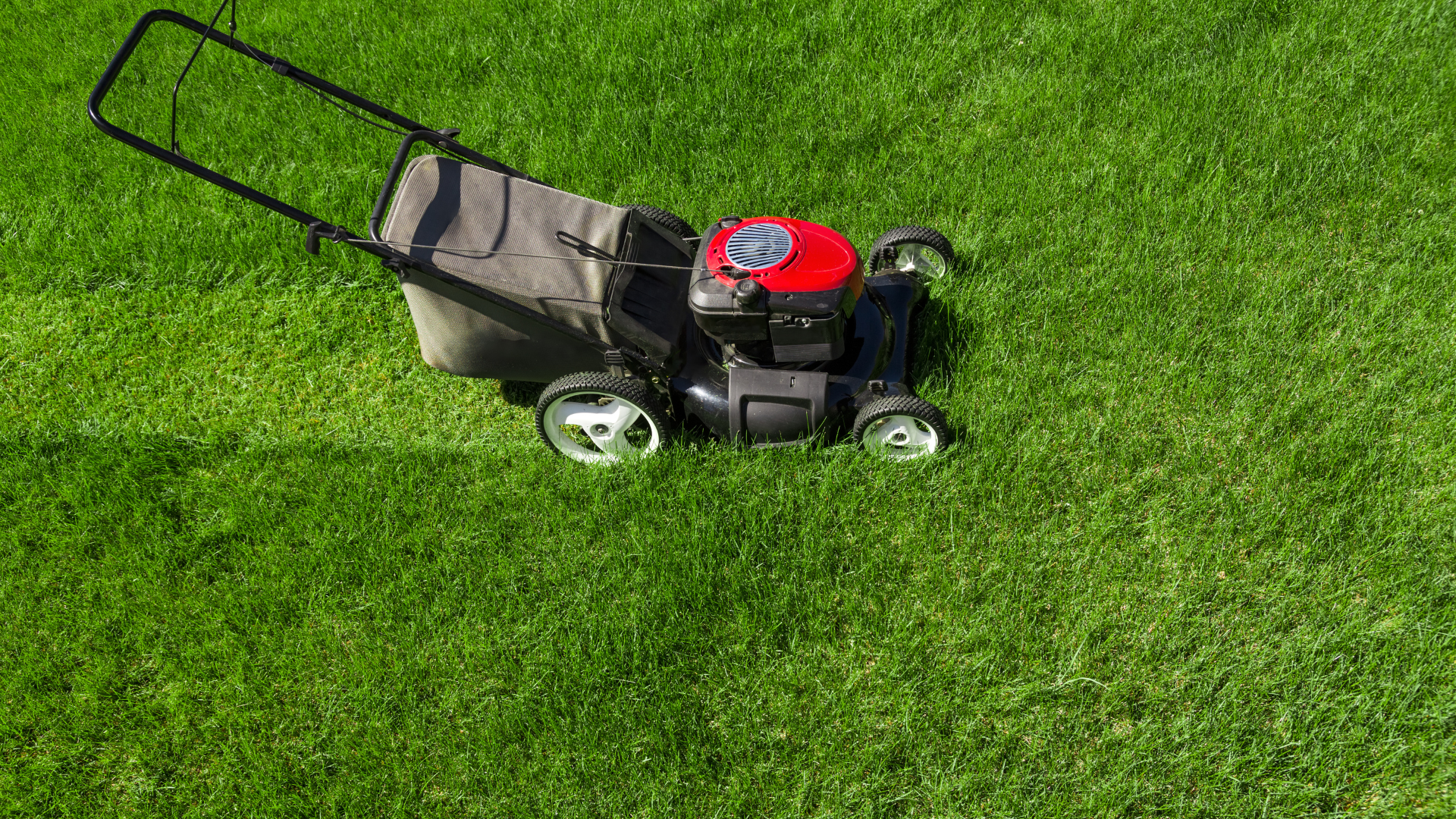 Une tondeuse thermique dans un jardin