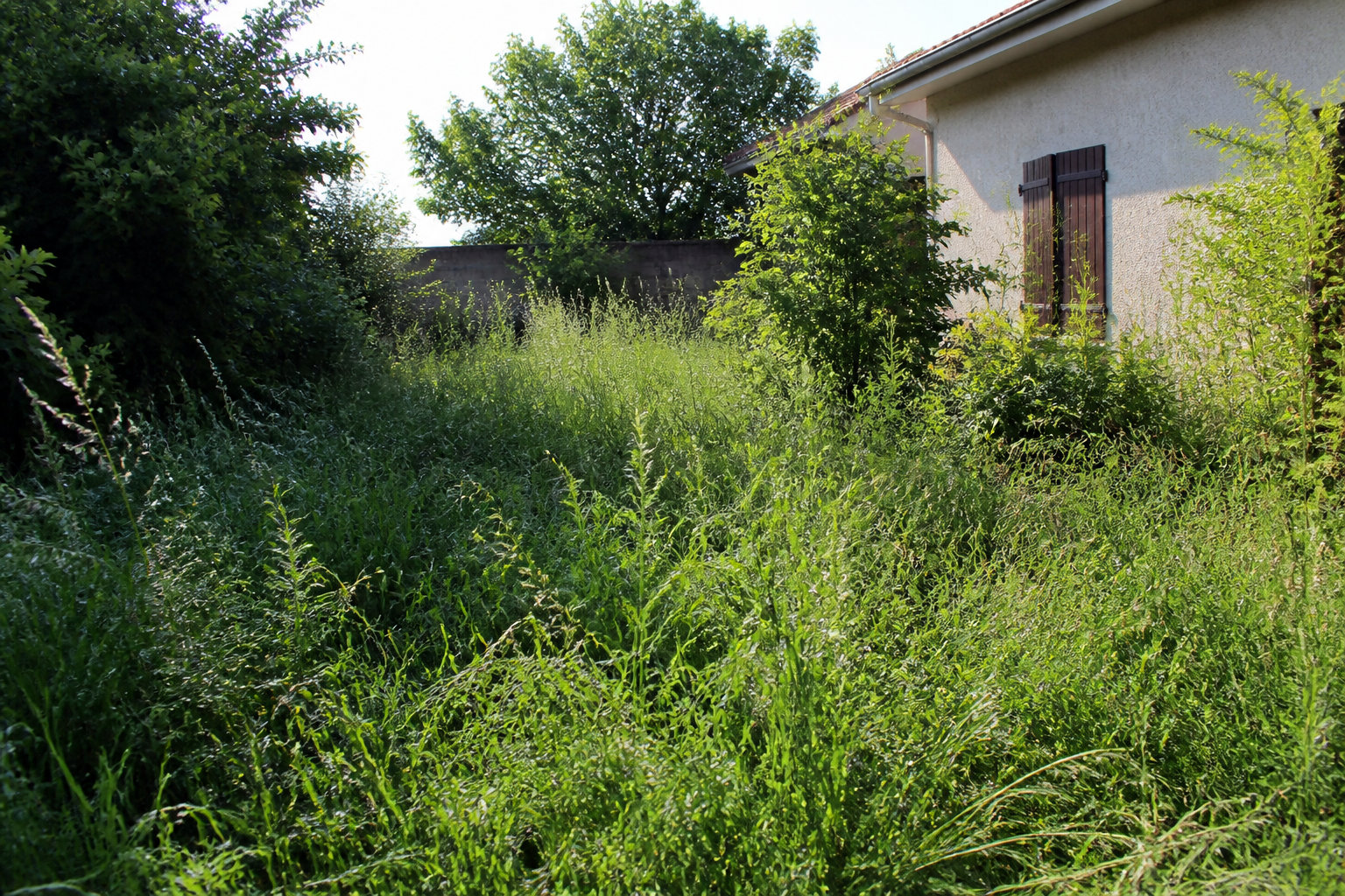 Les limites et exigences du mulching intensif
