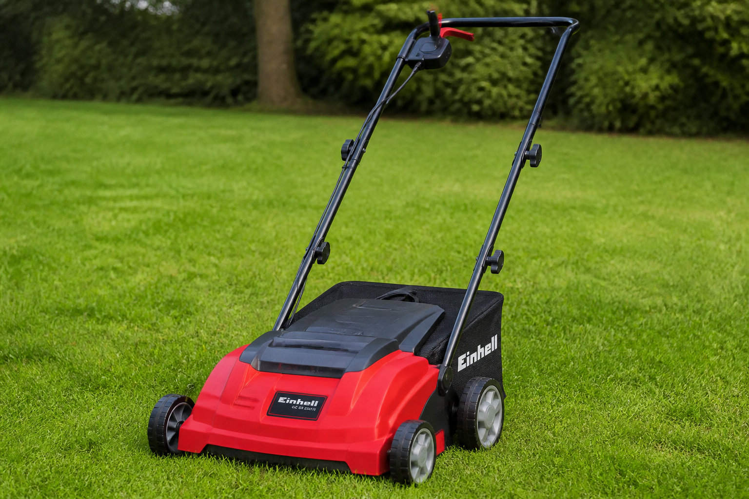 Einhell GC-ES 1231/1 : l'efficacité électrique accessible