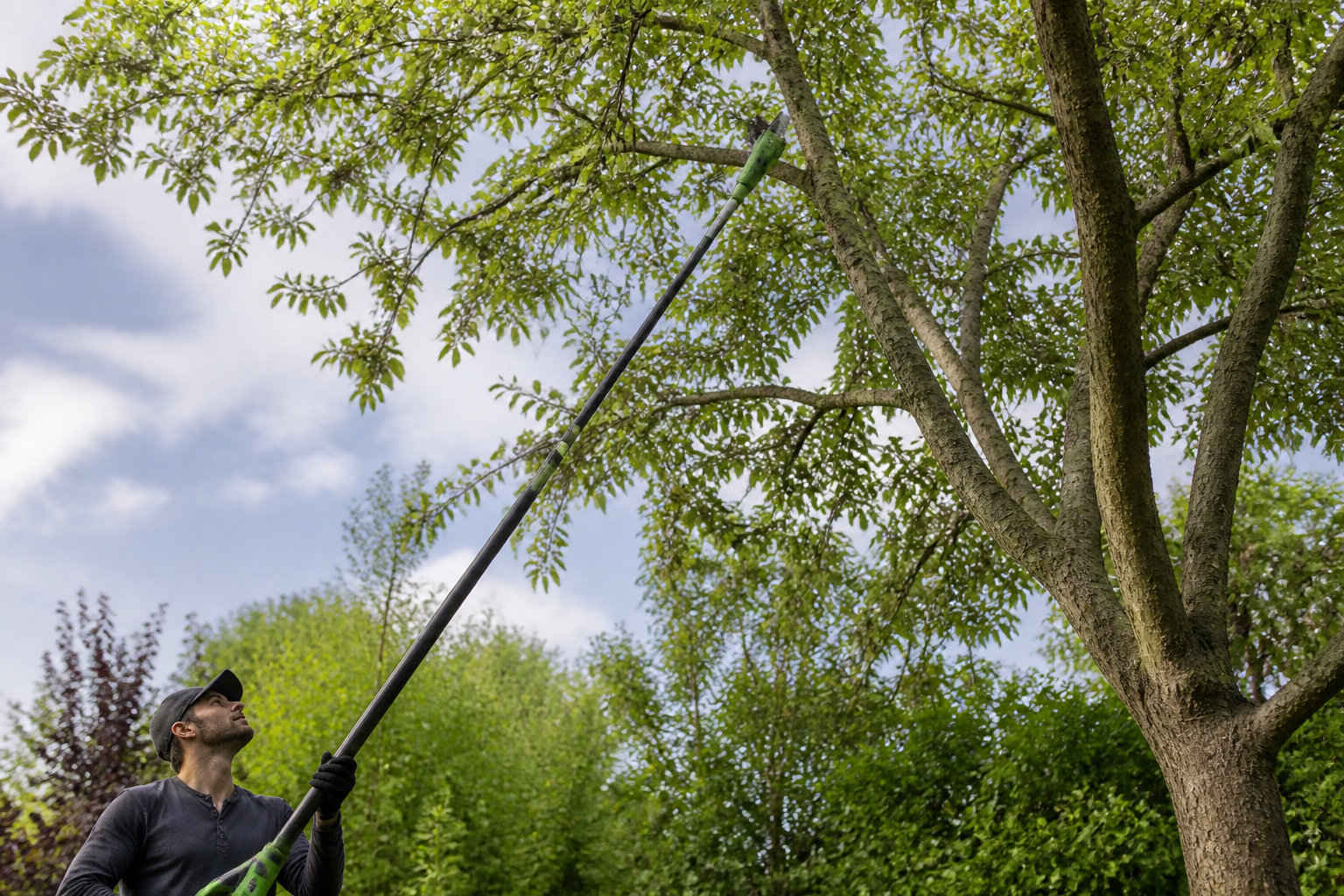 Meilleure élagueuse sur perche à batterie : l'outil idéal pour vos arbres