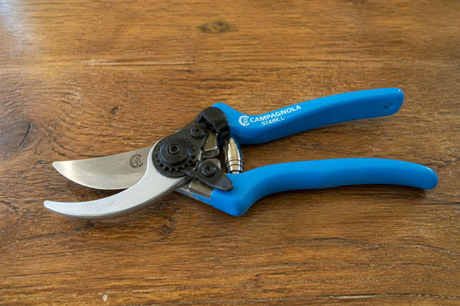 Campagnola Stark L : la robustesse pour les vergers